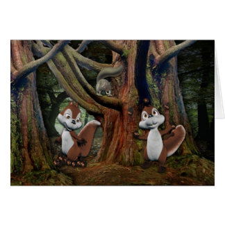 Playful Squrrels