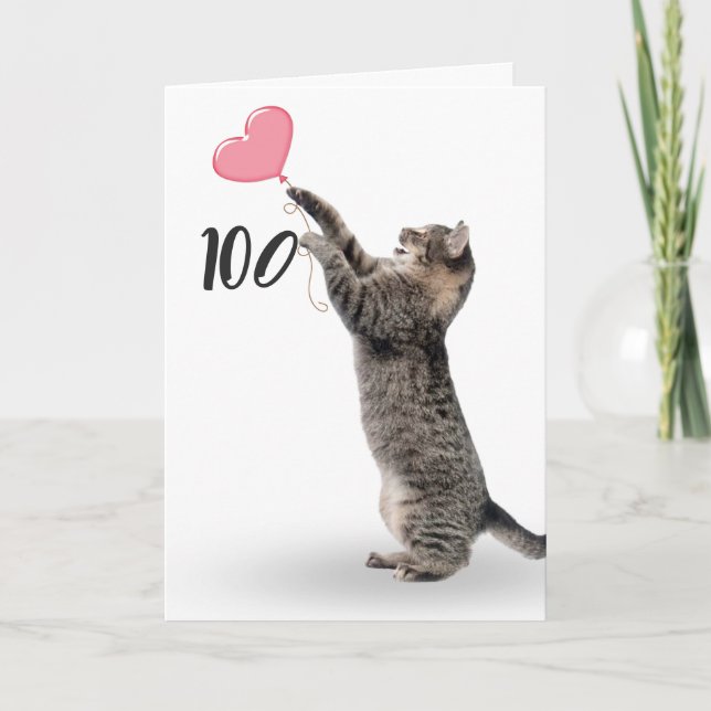 playful tabby cat for 100th birthday card (Front)