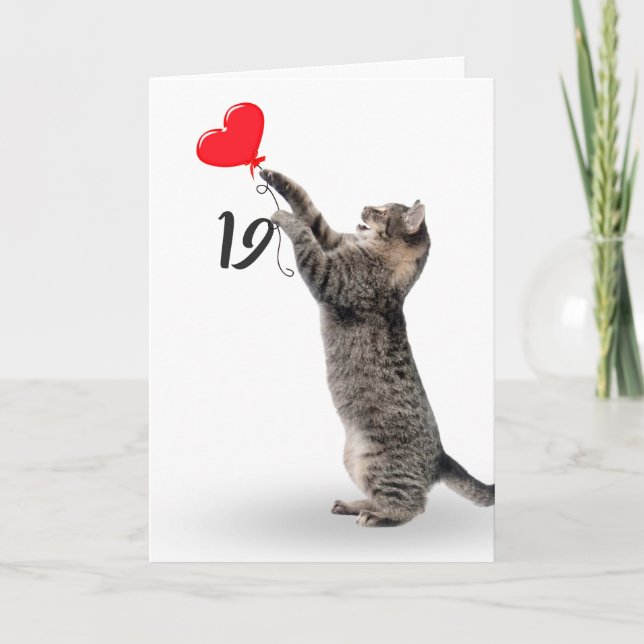 playful tabby cat for 19th birthday card (Front)