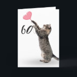 playful tabby cat for 60th birthday card<br><div class="desc">Grey tabby cat with pink heart balloon for 60th birthday on white background.
Background colour can be changed</div>