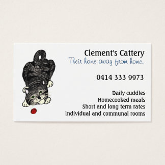 Playful Tabby Kitten