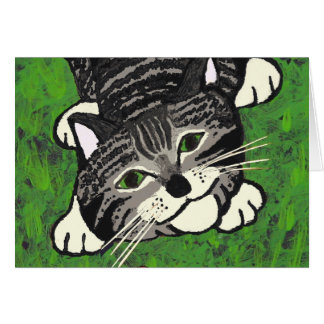 Playful Tabby Kitten