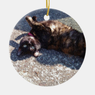 Playful Tortoiseshell Cat Ceramic Ornament