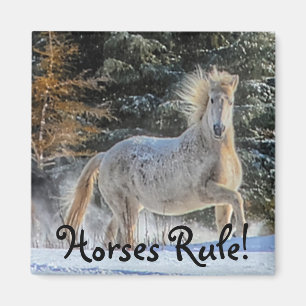 Playful White Horse in Winter Snows Photo Magnet