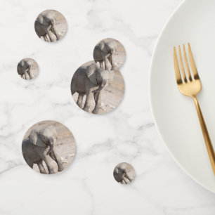 Playful young elephant confetti