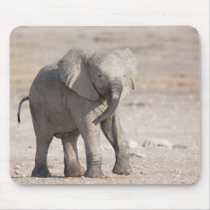 Playful young elephant mouse pad