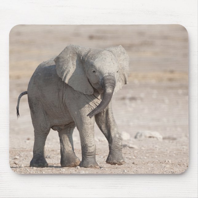 Playful young elephant mouse pad (Front)