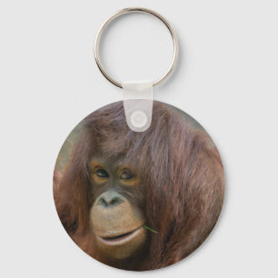Playful Young Orangutan Baby Keychain