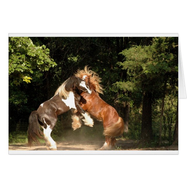 Playing at Sunset (Front Horizontal)