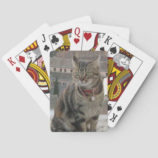 Playing Cards Cat (Back)