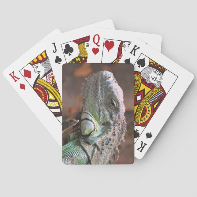 Playing Cards Deck with colourful Iguana lizard (Back)