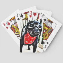 Playing cards with BlackDogLuke in goggles