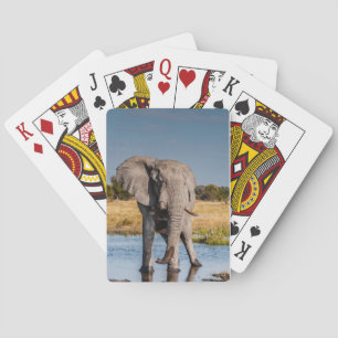 Playing Cards with front image of Elephant