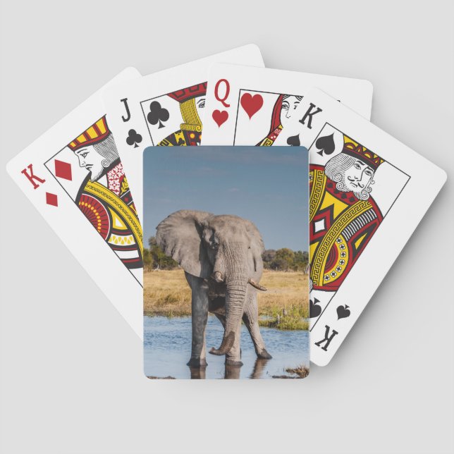 Playing Cards with front image of Elephant (Back)