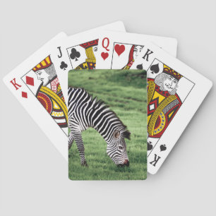 Playing Cards with front image of Zebra Grazing