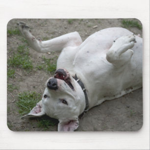 Playing Dogo Argentino Mouse Pad