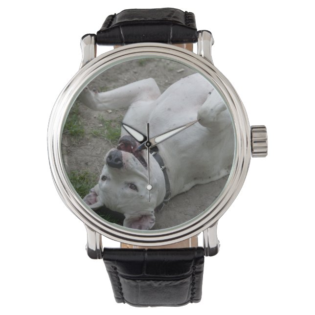 Playing Dogo Argentino Watch (Front)
