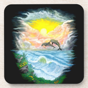 Playing Dolphins in the Sunshine Coaster