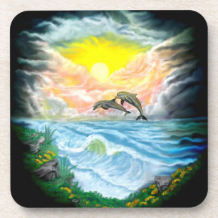 Playing Dolphins in the Sunshine Coaster
