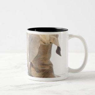 playing,friendly,curiosity Two-Tone coffee mug