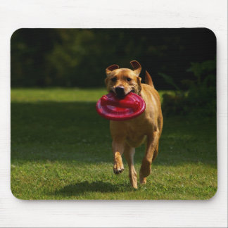Playing Frisbee Mouse Pad