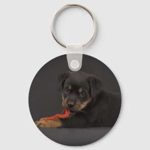 Playing Puppy 5 Keychain