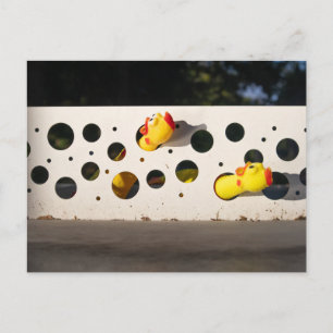 Playing Rubber Chickens Postcard