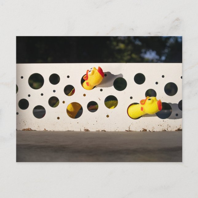 Playing Rubber Chickens Postcard (Front)