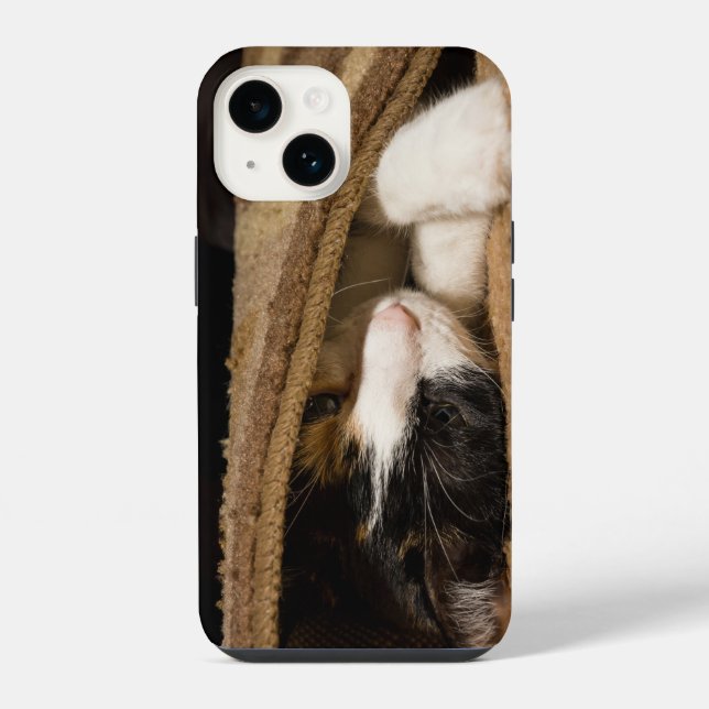 Playing Under The Rug iPhone Case (Back)