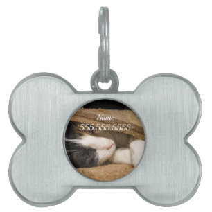 Playing Under The Rug Pet ID Tag