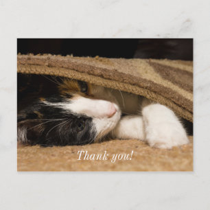 Playing Under The Rug Thank You Postcard