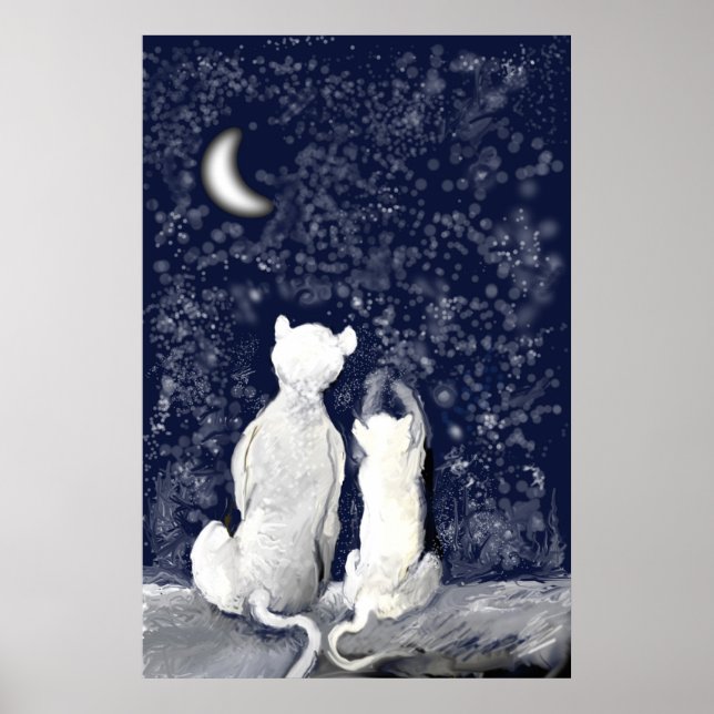 "Playing with Stars" Poster (Front)