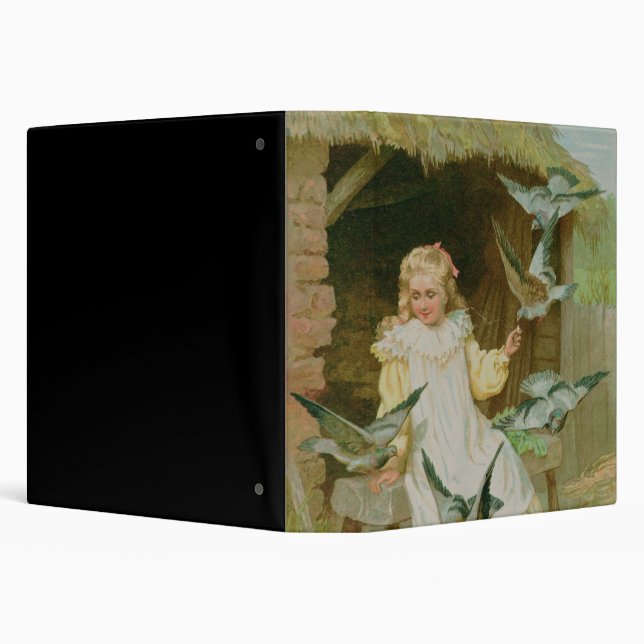 Playmates Binder (Background)
