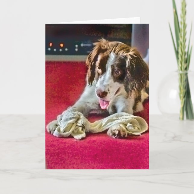 Playtime Timeout Card (Front)