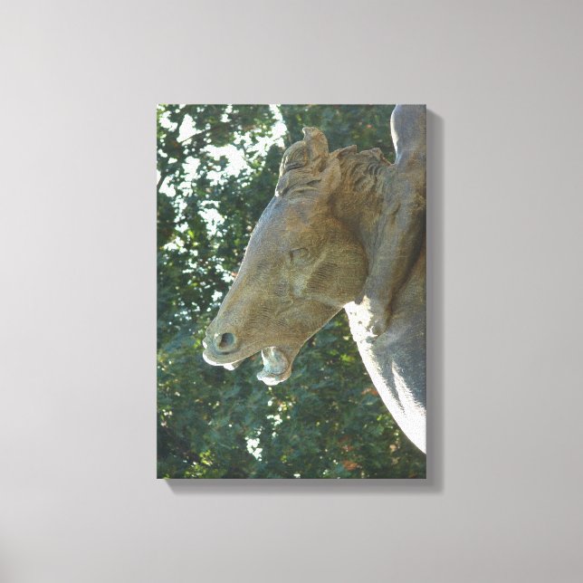 Plaza Horse Canvas Print (Front)
