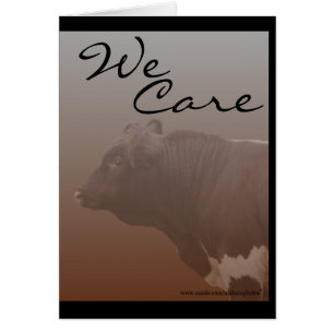 PLB--customize-any occasion