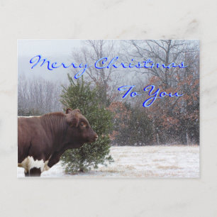 PLB Merry Christmas-customize Holiday Postcard