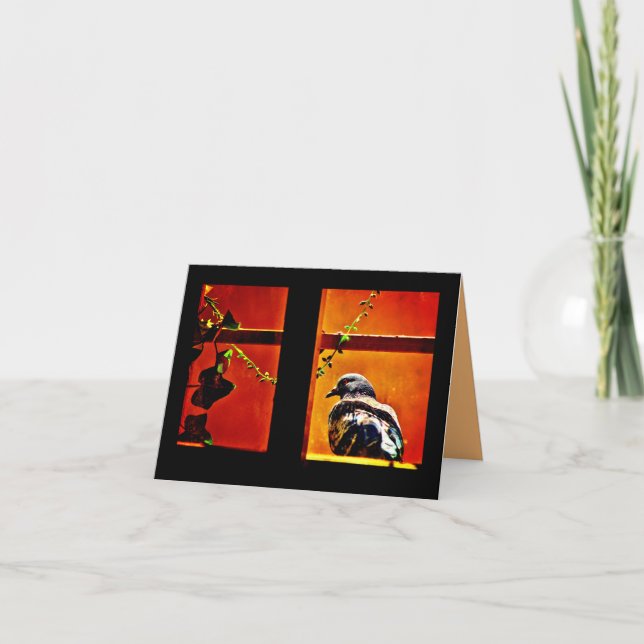 Pleasant Pigeon Card (Front)