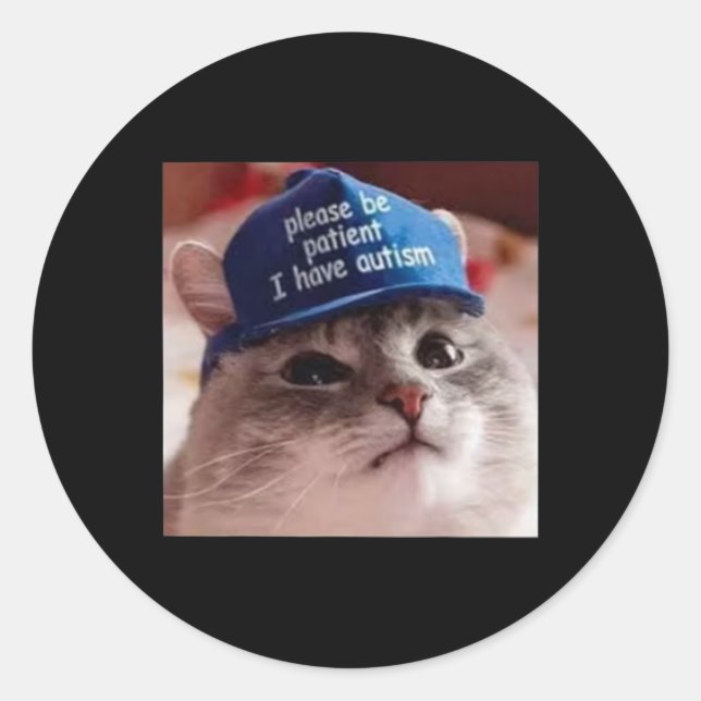 Please Be Patient I Have Autism Cat Funny  Classic Round Sticker (Front)
