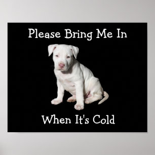 Please Bring Me In, When It's Cold Canine Poster