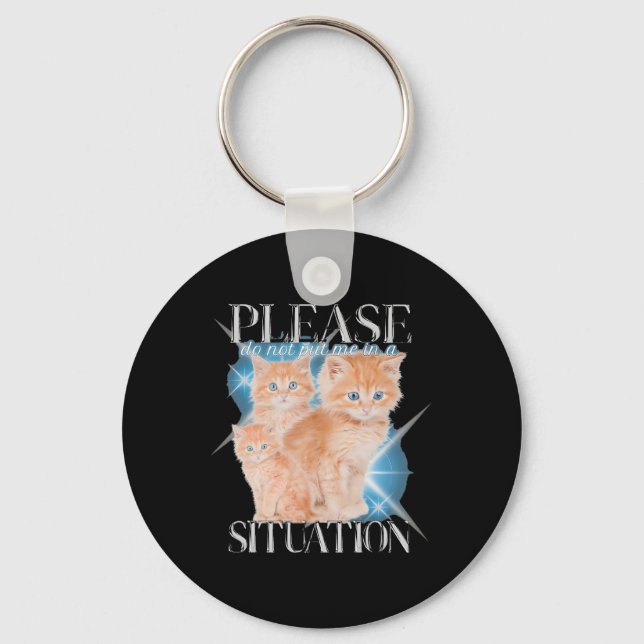 Please Do Not Put Me In A Situation Funny Cat  Keychain (Front)