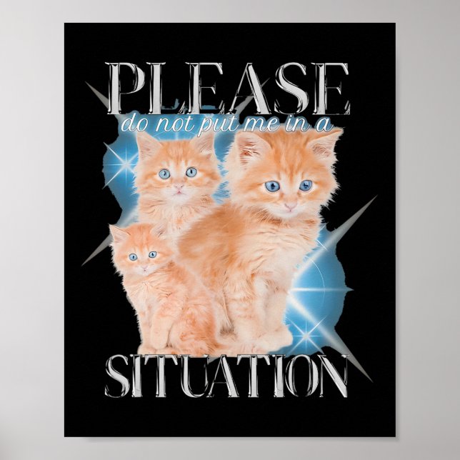 Please Do Not Put Me In A Situation Funny Cat  Poster (Front)