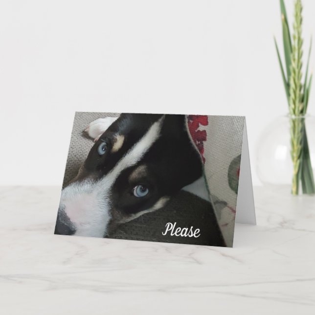 Please don't be mad at me, I'm sorry Card (Front)