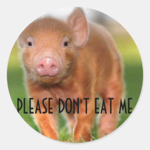Please Don't Eat Me Classic Round Sticker