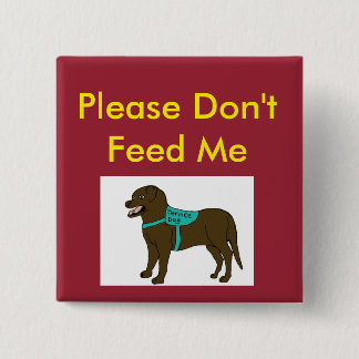 Please Dont Feed Me SD 2 Inch Square Button