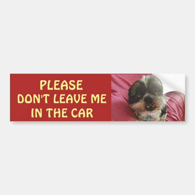 Please Don't Leave Dogs in A Hot Car Bumper Sticker (Front)
