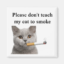 Please don't teach my cat to smoke