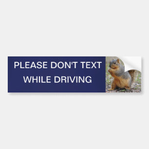 Please Don't Text Bumper Sticker