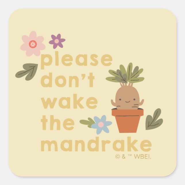 Please Don't Wake The Mandrake Square Sticker (Front)