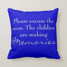 Please excuse the mess. memories pillow